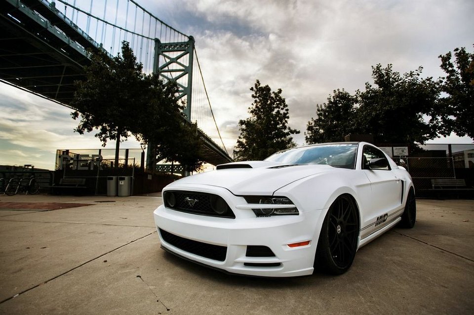 Mustang Photo001