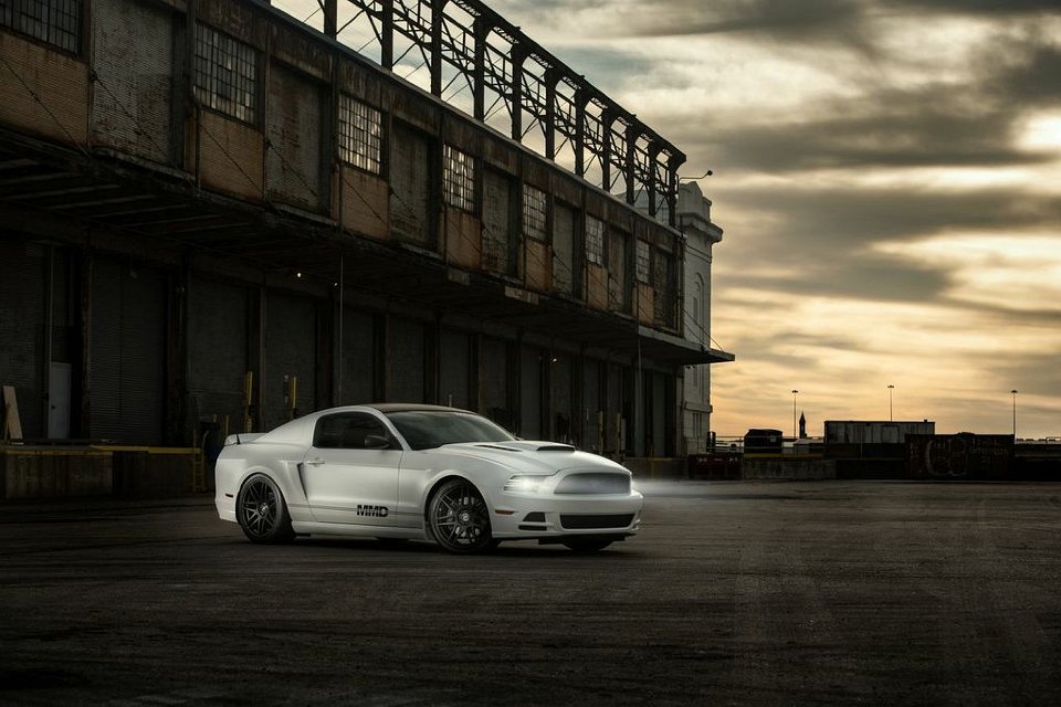 Mustang Photo002