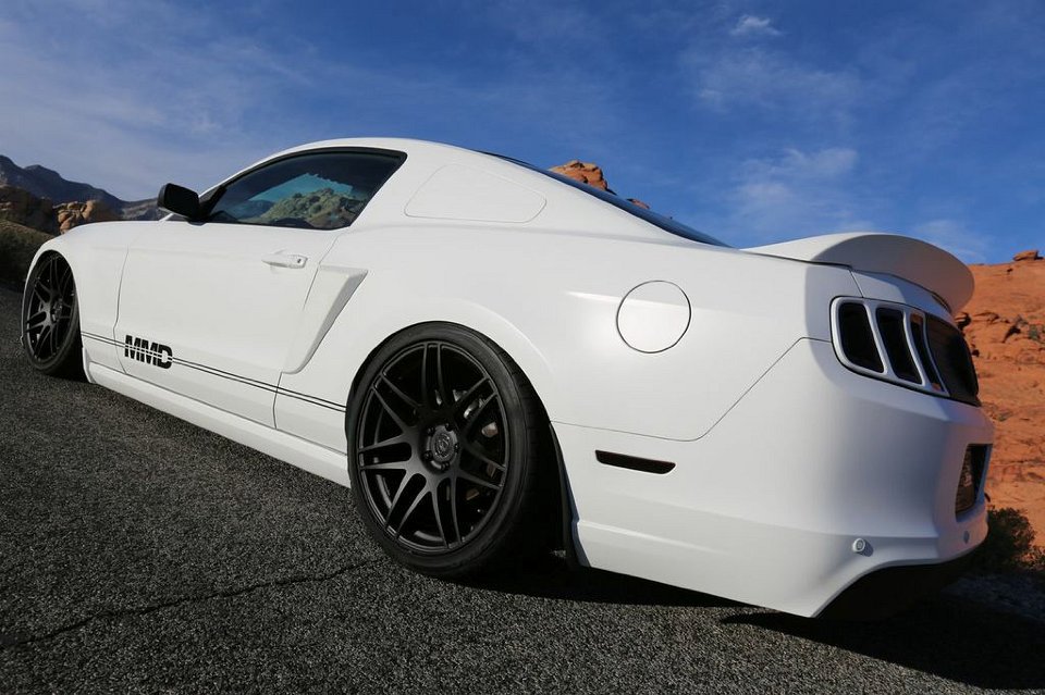 Mustang Photo006