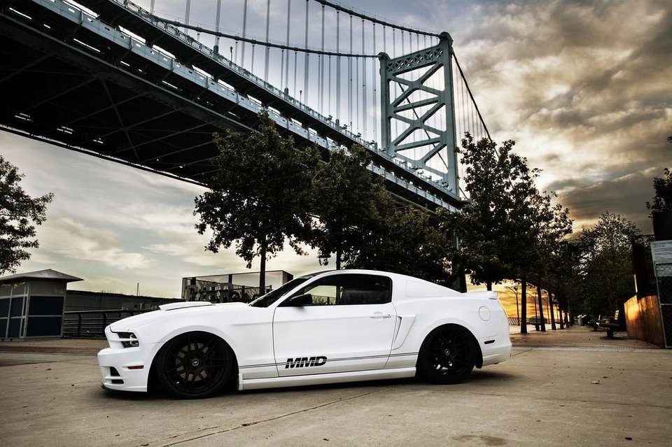 Mustang Photo007