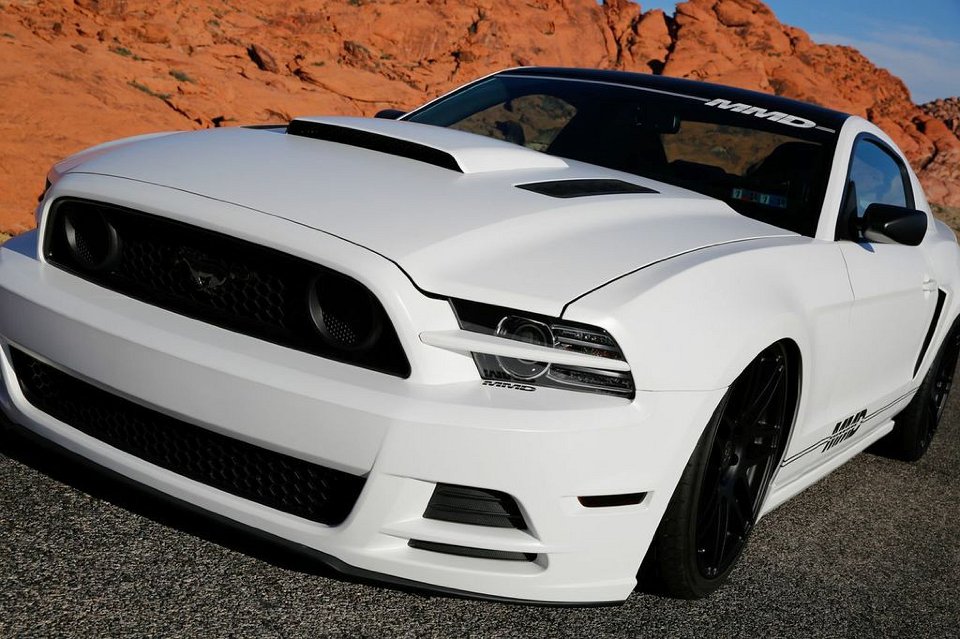 Mustang Photo008