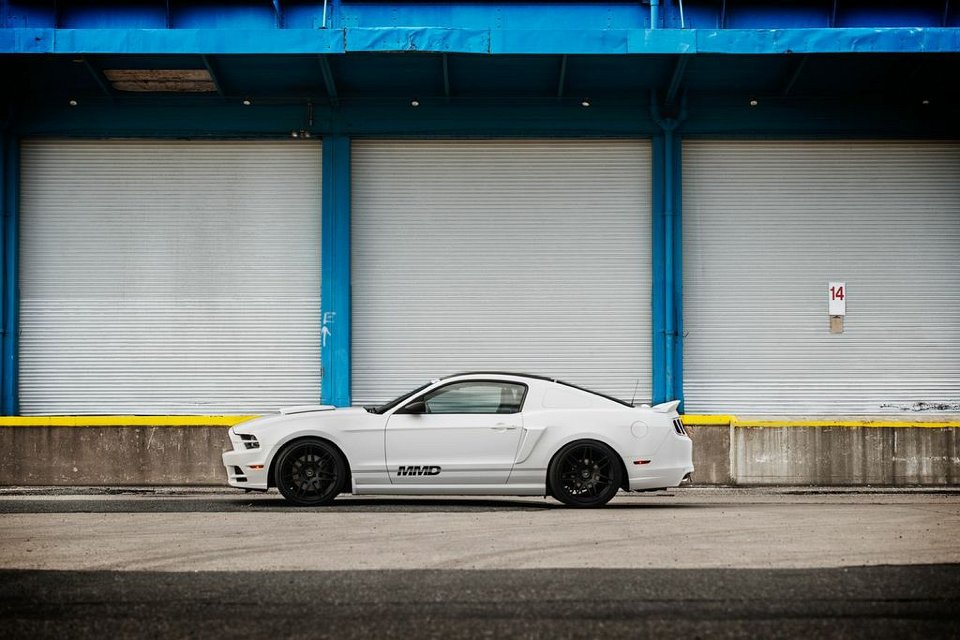 Mustang Photo009