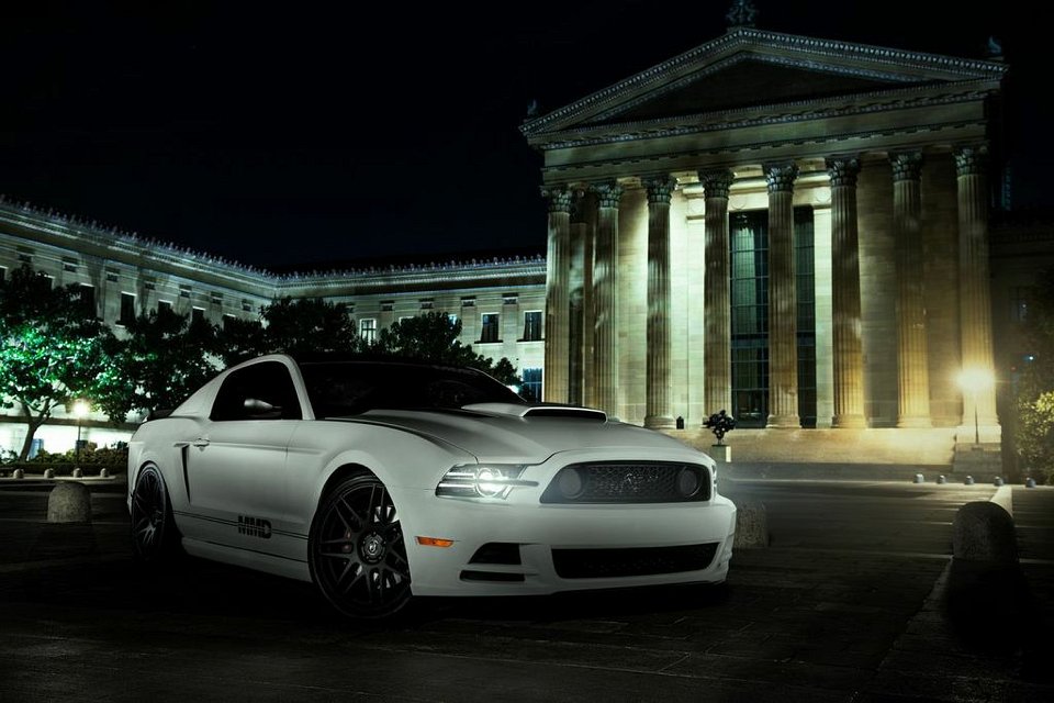 Mustang Photo010