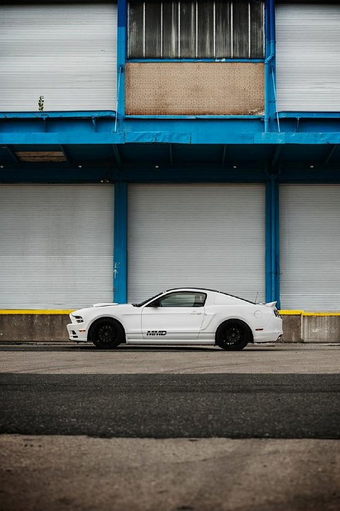 Mustang Photo011