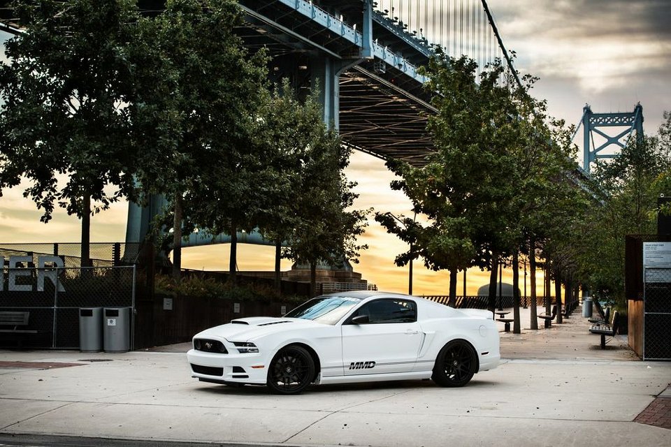 Mustang Photo012