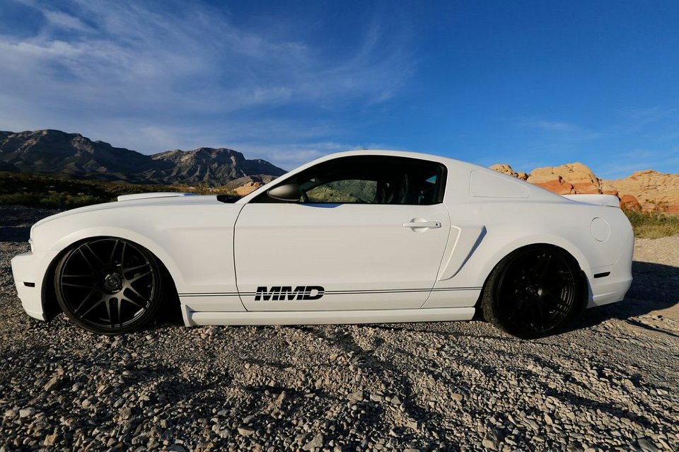 Mustang Photo015