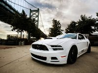 Mustang_Photo001.jpg