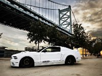 Mustang_Photo007.jpg