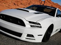 Mustang_Photo008.jpg