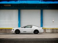 Mustang_Photo009.jpg