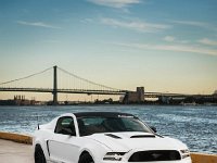 Mustang_Photo018.jpg