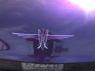 <pinstriping thunderbird>